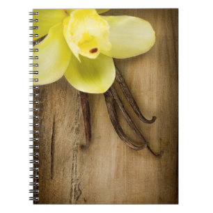 Carnet Cosses et fleur de vanille au-dessus d'arrière -