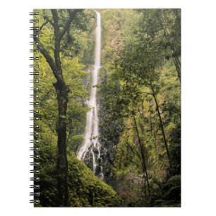 Carnet Costa Rica, île Cocos, cascade de Wafer Bay