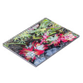 Carnet Côte Dudleya À Point Reyes National Seashore (Côté gauche)