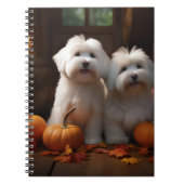 Carnet Coton De Tulear Chiot Automne Citrouille délice (Devant)