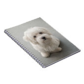 Carnet Coton de Tulear Puppy de Maisie (Côté Droit)