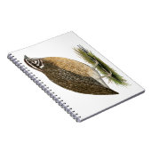 Carnet Coturnix Pharaoh (Côté Droit)