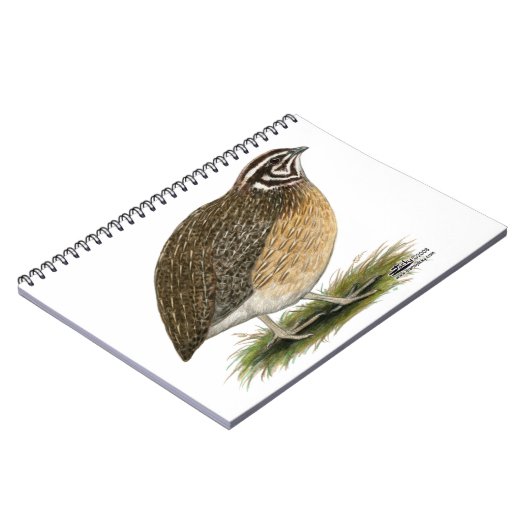 Carnet Coturnix Pharaoh (Côté gauche)