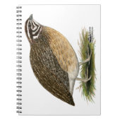 Carnet Coturnix Pharaoh (Devant)