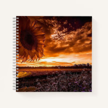 coucher de soleil