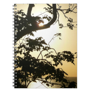Carnet Coucher du soleil à travers les arbres II Photogra