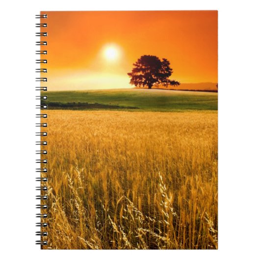Carnet Coucher du soleil rouge sang (Devant)