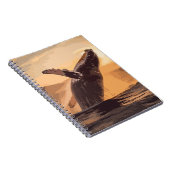 Carnet Coucher du soleil sur l'aquarelle océanique (Côté Droit)