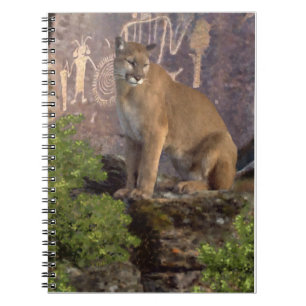 Carnet Cougar et les Pictographes