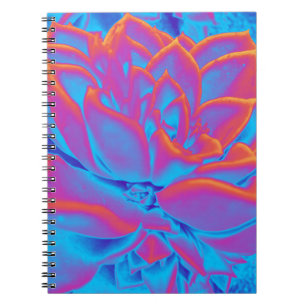 Carnet Couleur arc-en-ciel plante Succulent