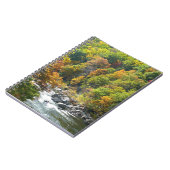 Carnet Couleur d'automne dans le parc d'état d'Ohiopyle (Côté gauche)