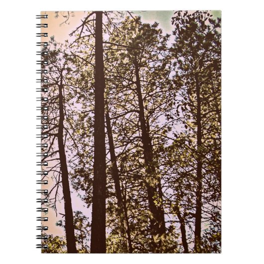 Carnet couleur par les arbres (Devant)