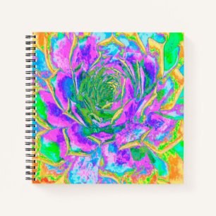 Carnet Couleurs arc-en-ciel Fiesta Succulent Sedum Rosett