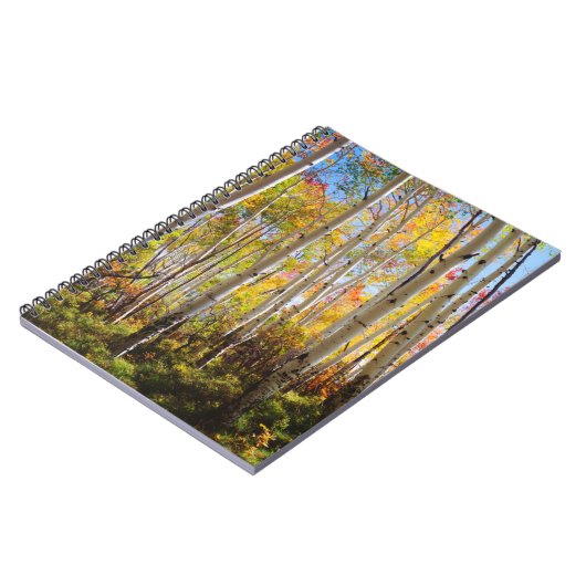 Carnet Couleurs automnales d'Aspen 5 (Côté gauche)