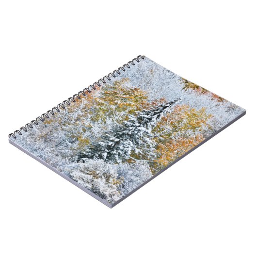 Carnet Couleurs automnales des Aspens et du col Keebler (Côté gauche)