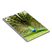 Carnet Couleurs d'affichage de paquetage (Côté Droit)