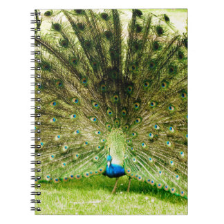 Carnet Couleurs d'affichage de paquetage