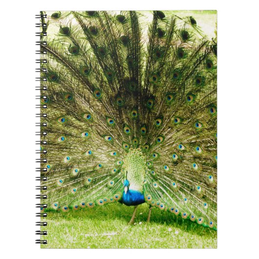 Carnet Couleurs d'affichage de paquetage (Devant)