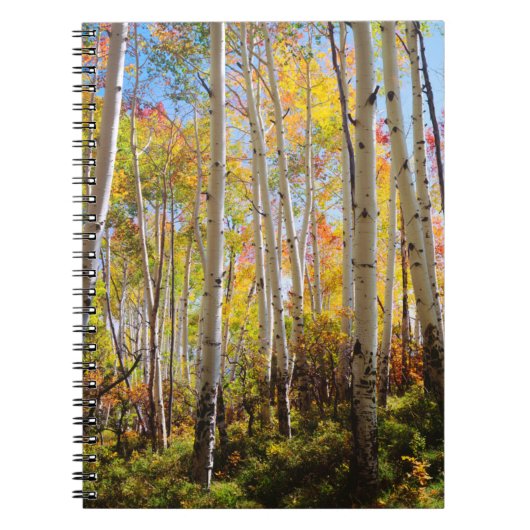 Carnet Couleurs d'automne des arbres d'Aspen 5 (Devant)
