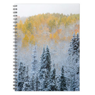 Carnet Couleurs d'automne des trembles et neige fraîche K