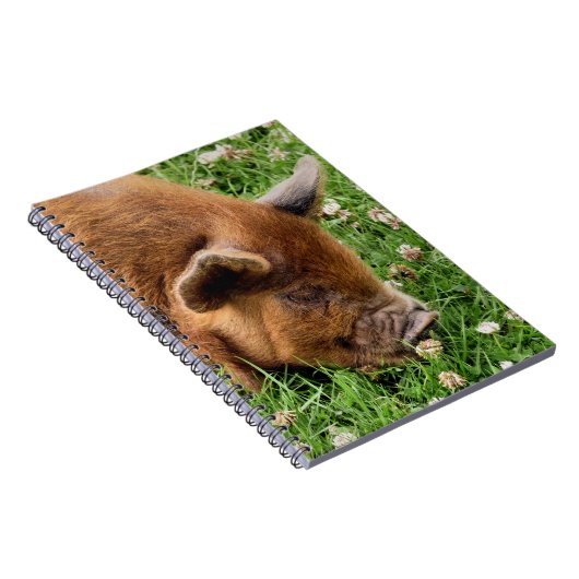 CARNET COUPER (Côté Droit)