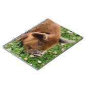 CARNET COUPER (Côté gauche)