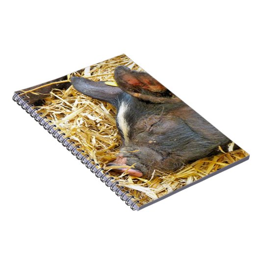 CARNET COUPER (Côté Droit)