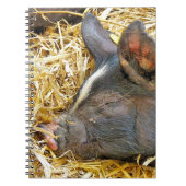 CARNET COUPER (Devant)