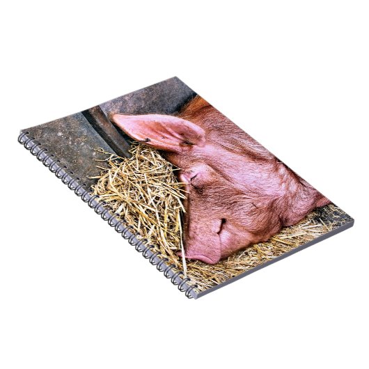 CARNET COUPER (Côté Droit)