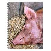 CARNET COUPER (Devant)