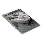 CARNET COUPER OTTER (Côté Droit)