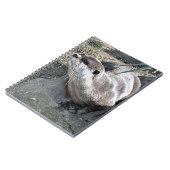 CARNET COUPER OTTER (Côté gauche)