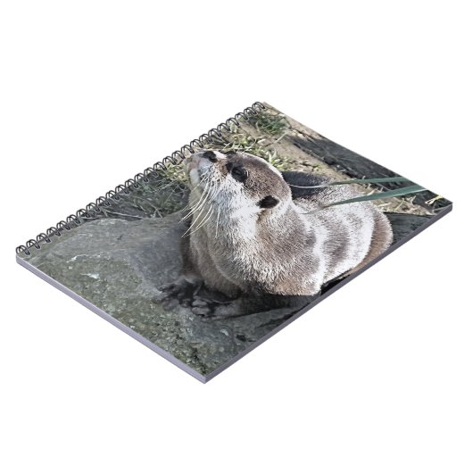 CARNET COUPER OTTER (Côté gauche)
