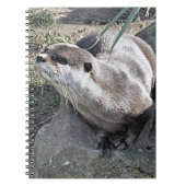 CARNET COUPER OTTER (Devant)