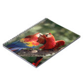 Carnet Couple d'Ara rouge (Côté gauche)