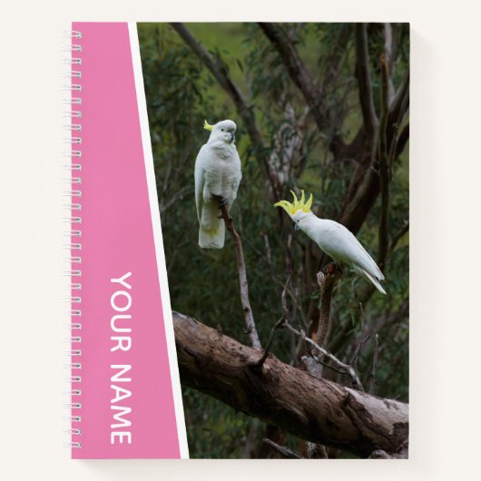 Carnet Couple de perroquets australiens cacatoès, rose (Devant)