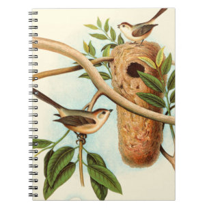 Carnet Couple d'oiseaux sur un nid perché sur une branche