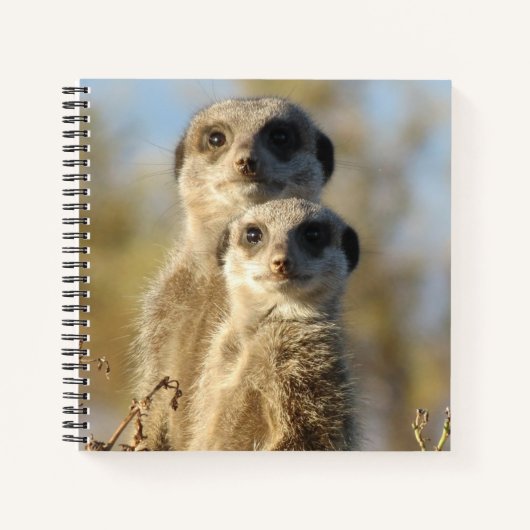 Carnet Couple of Meerkats Cute Photo (Devant)