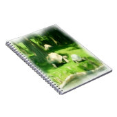 Carnet Course de tortues (Côté Droit)