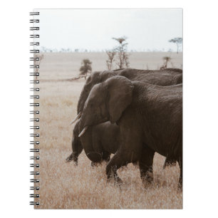 CARNET COURSE D'ÉLÉPHANTS