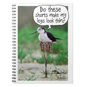 Carnet COURSES D'OISEAU FUNNY Carte ou cadeau