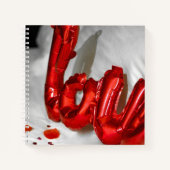 CARNET COUSSIN AMOUR (Devant)