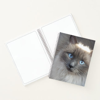 Carnet Couverture de journal-chat spirale non alignée