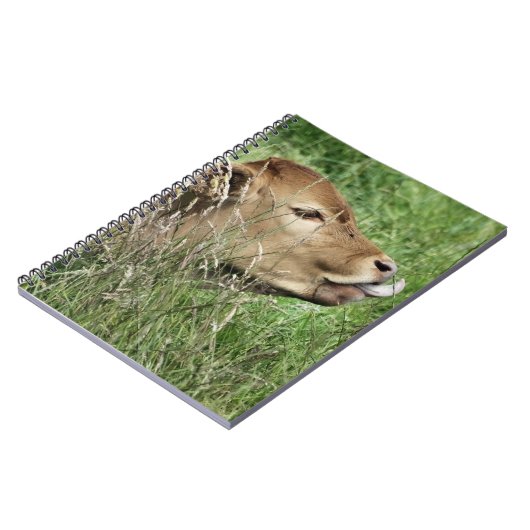 Carnet COW Cute (Côté gauche)