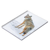 Carnet Coyote sur le qui-vive dans la neige (Côté gauche)
