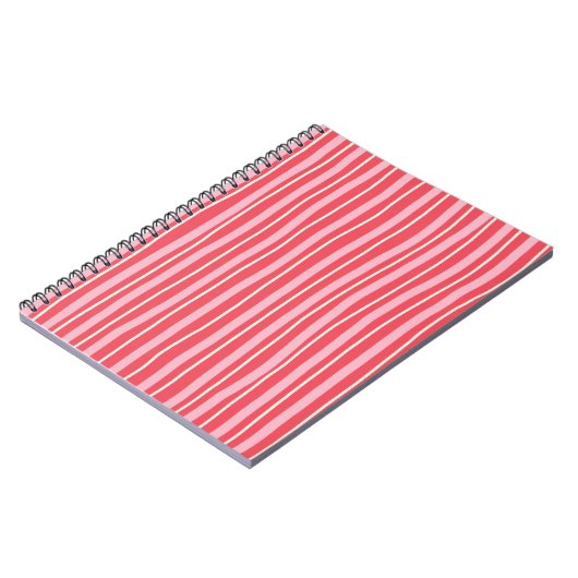 Carnet Cozy Christmas Notebook (Côté gauche)
