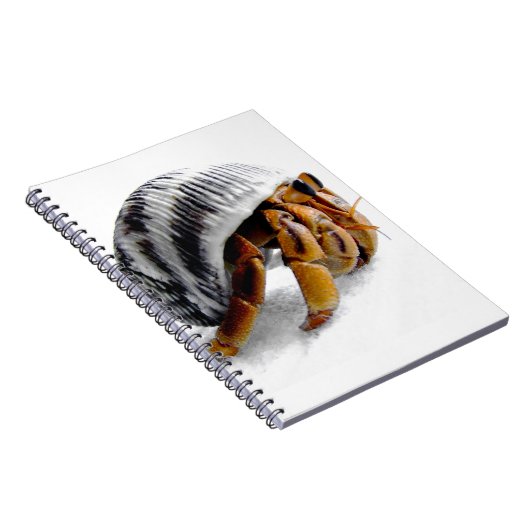 Carnet crabe herbacé terrestre (Côté Droit)