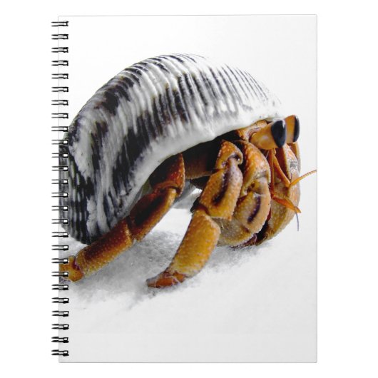 Carnet crabe herbacé terrestre (Devant)