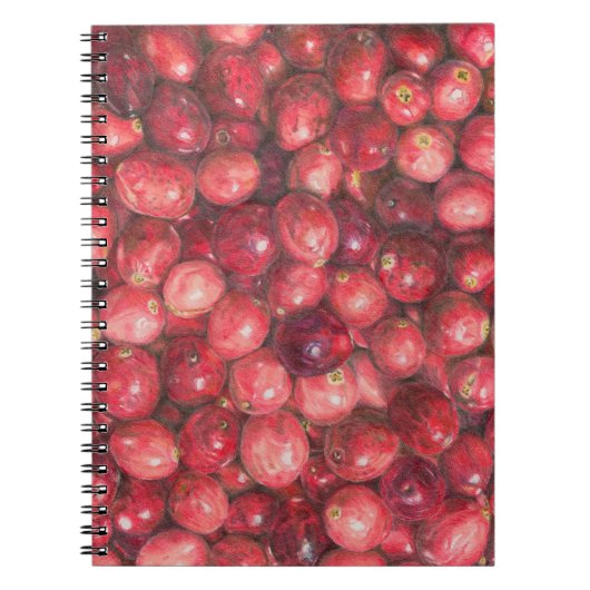Carnet Cranberries Still Life (Devant)