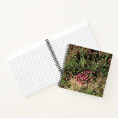 Carnet Cranberry Farm, Long Beach, Washington (Intérieur)